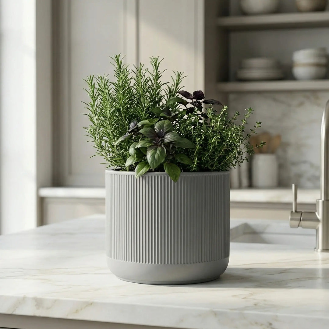 Maceta gris diseño moderno en encimera de cocina mármol conteniendo plantas aromáticas frescas